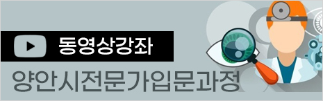 양안시전문가.jpg